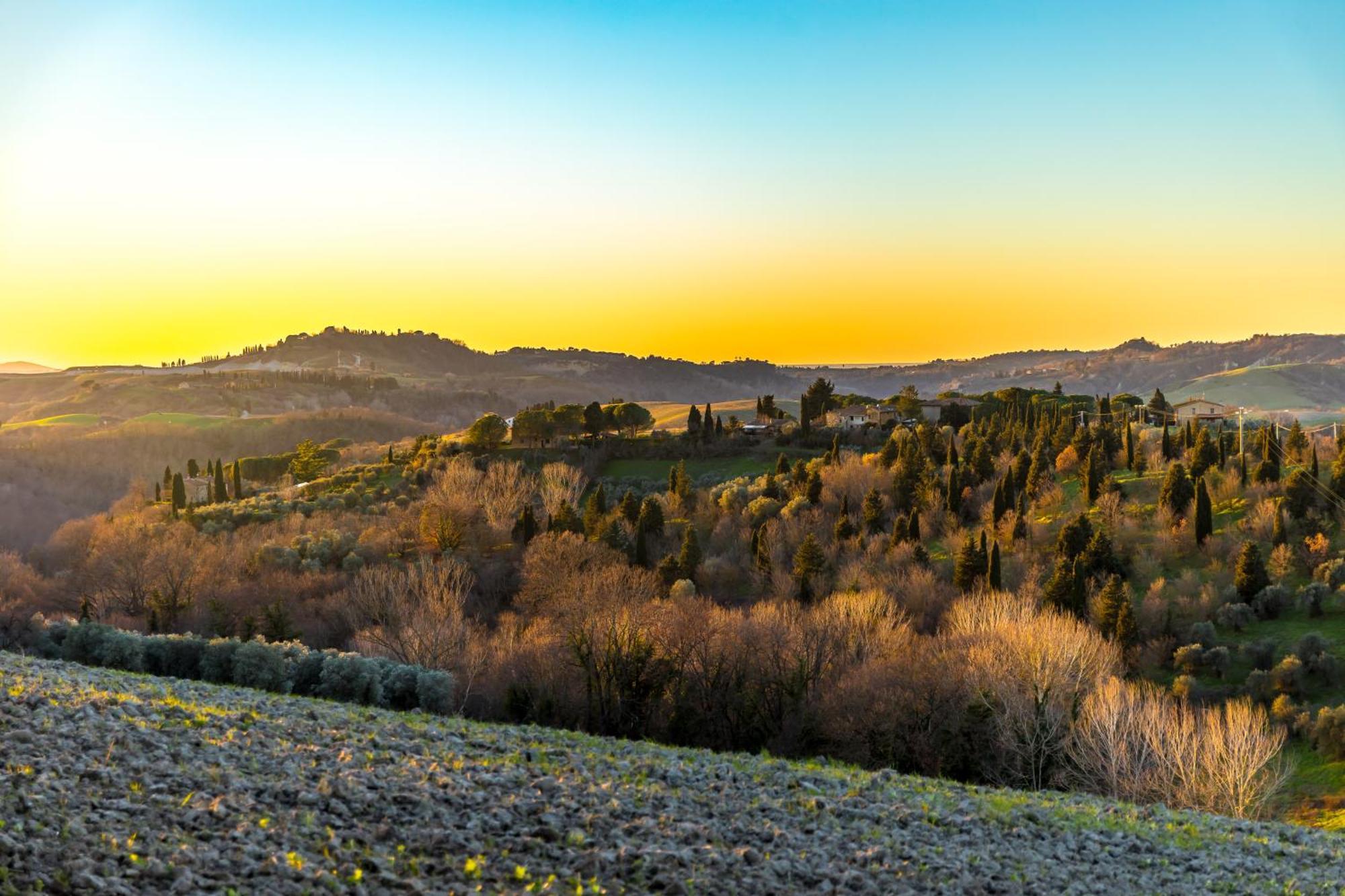 Borgo Il Poggio Agritourismo Villa Монтайоне Екстериор снимка