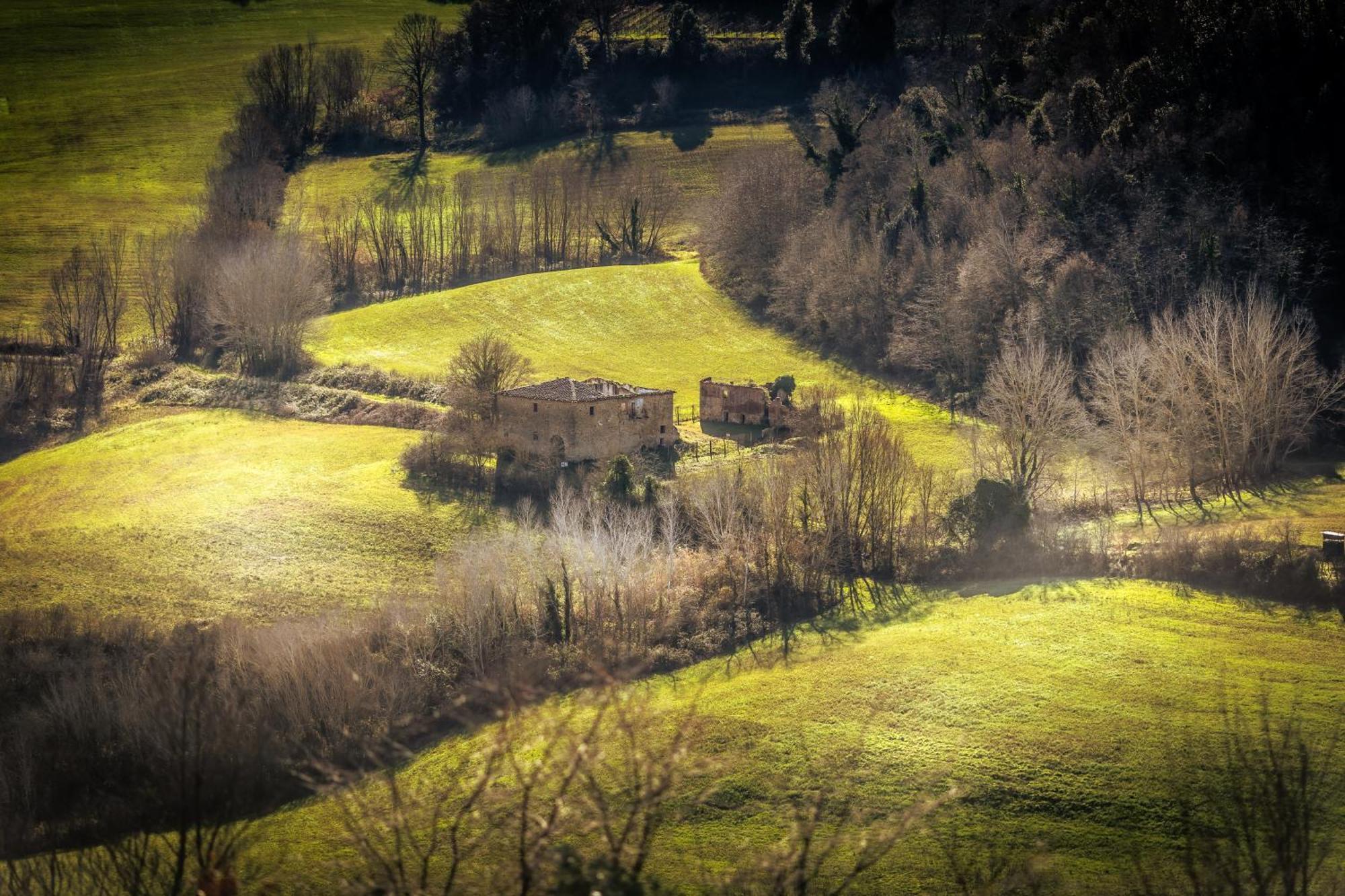 Borgo Il Poggio Agritourismo Villa Монтайоне Екстериор снимка