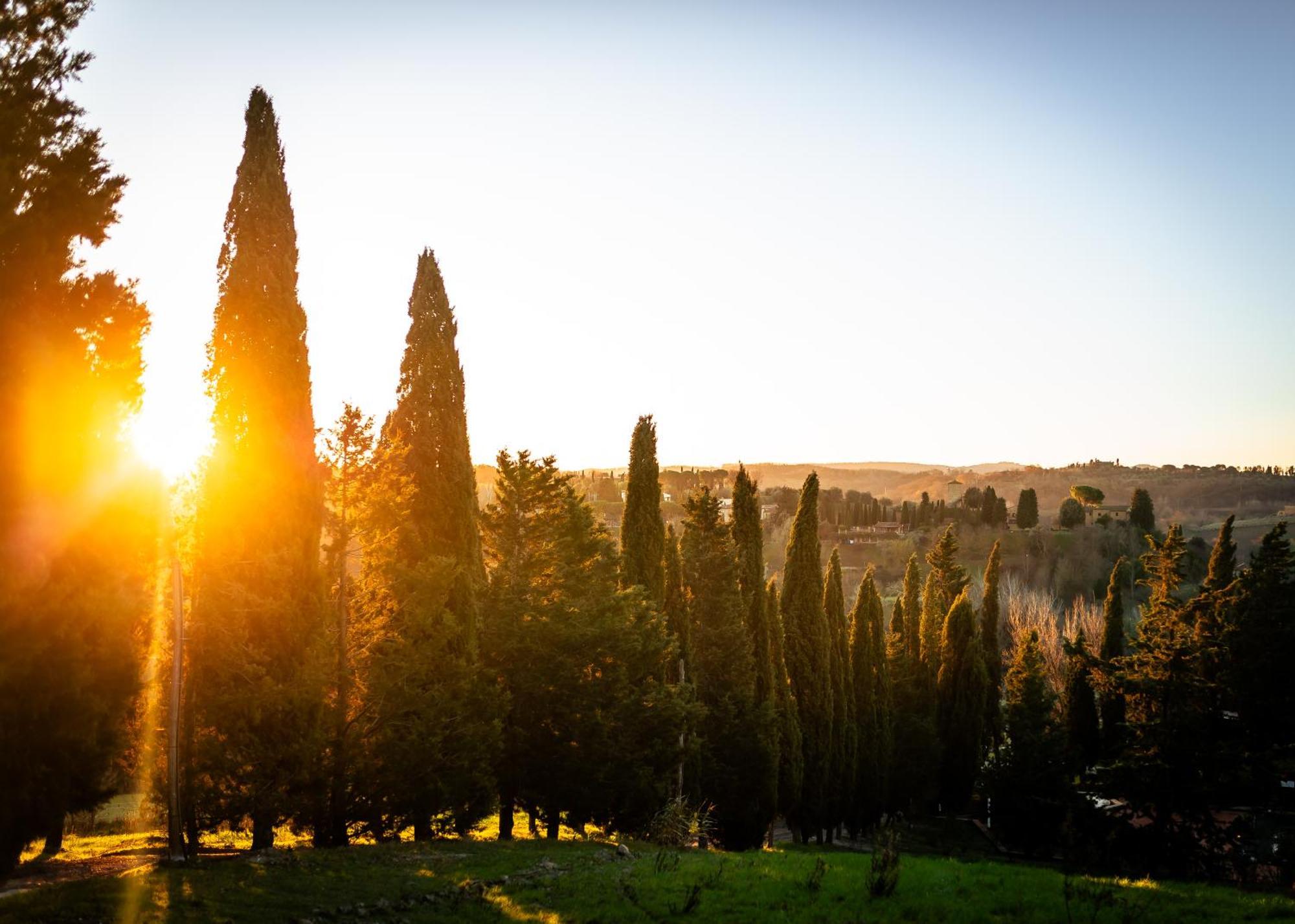 Borgo Il Poggio Agritourismo Villa Монтайоне Екстериор снимка